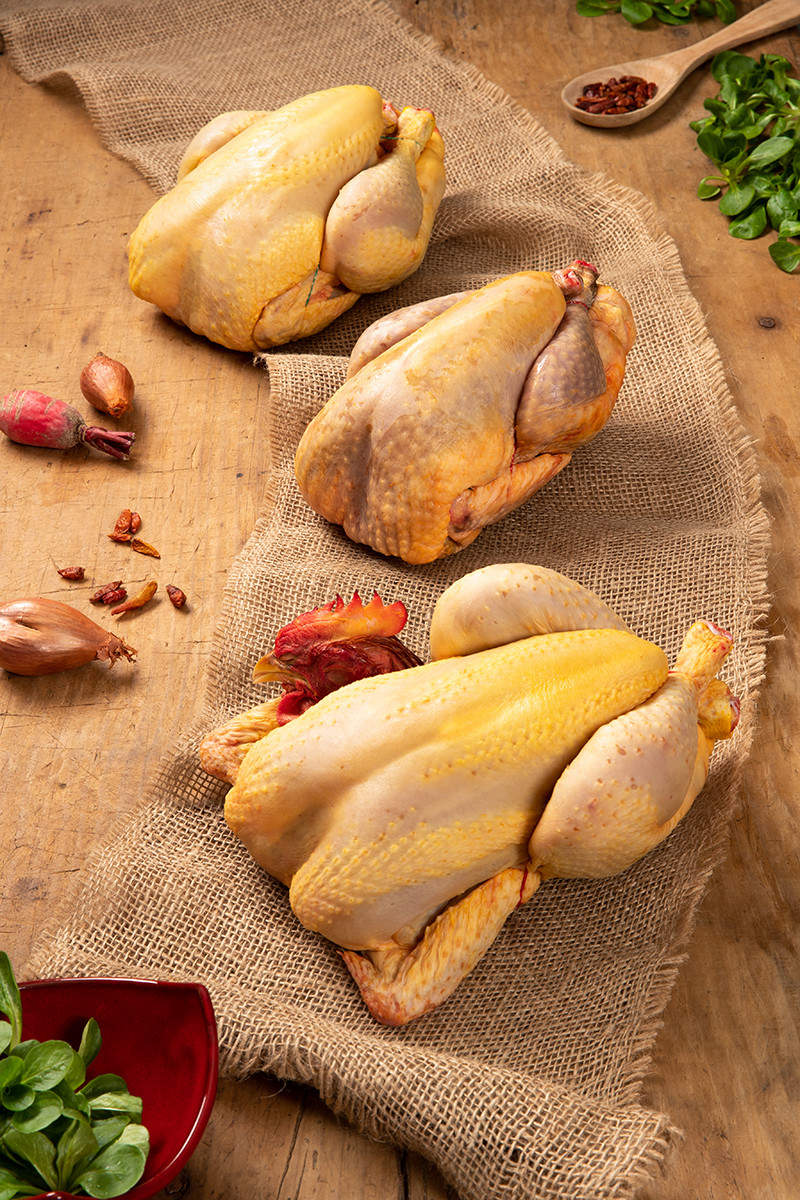 Collaboration avec le Groupe Fermiers du Sud-Ouest et l'agence de communication abc-com