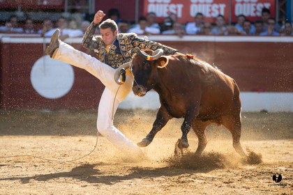 Mont-de-Marsan championnat de France de course landaise 2019