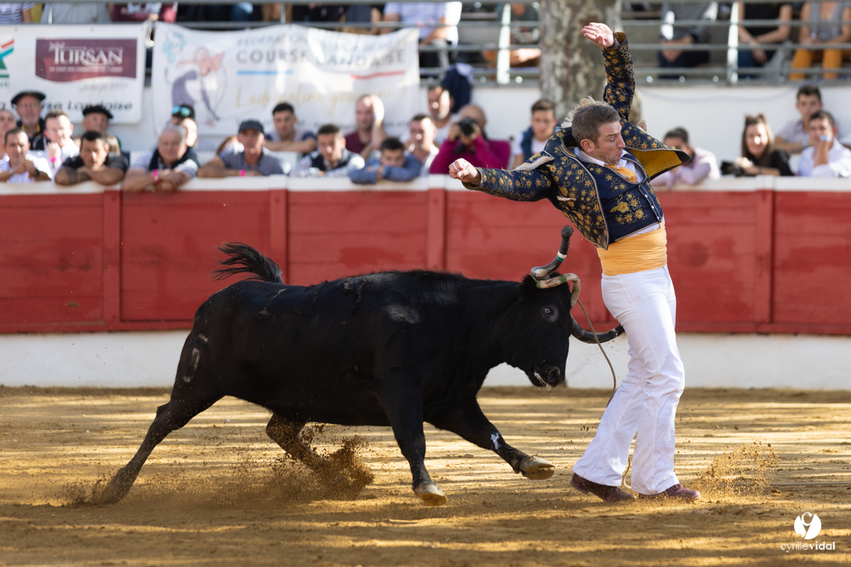 Nogaro Championnat de France de course landaise 2022