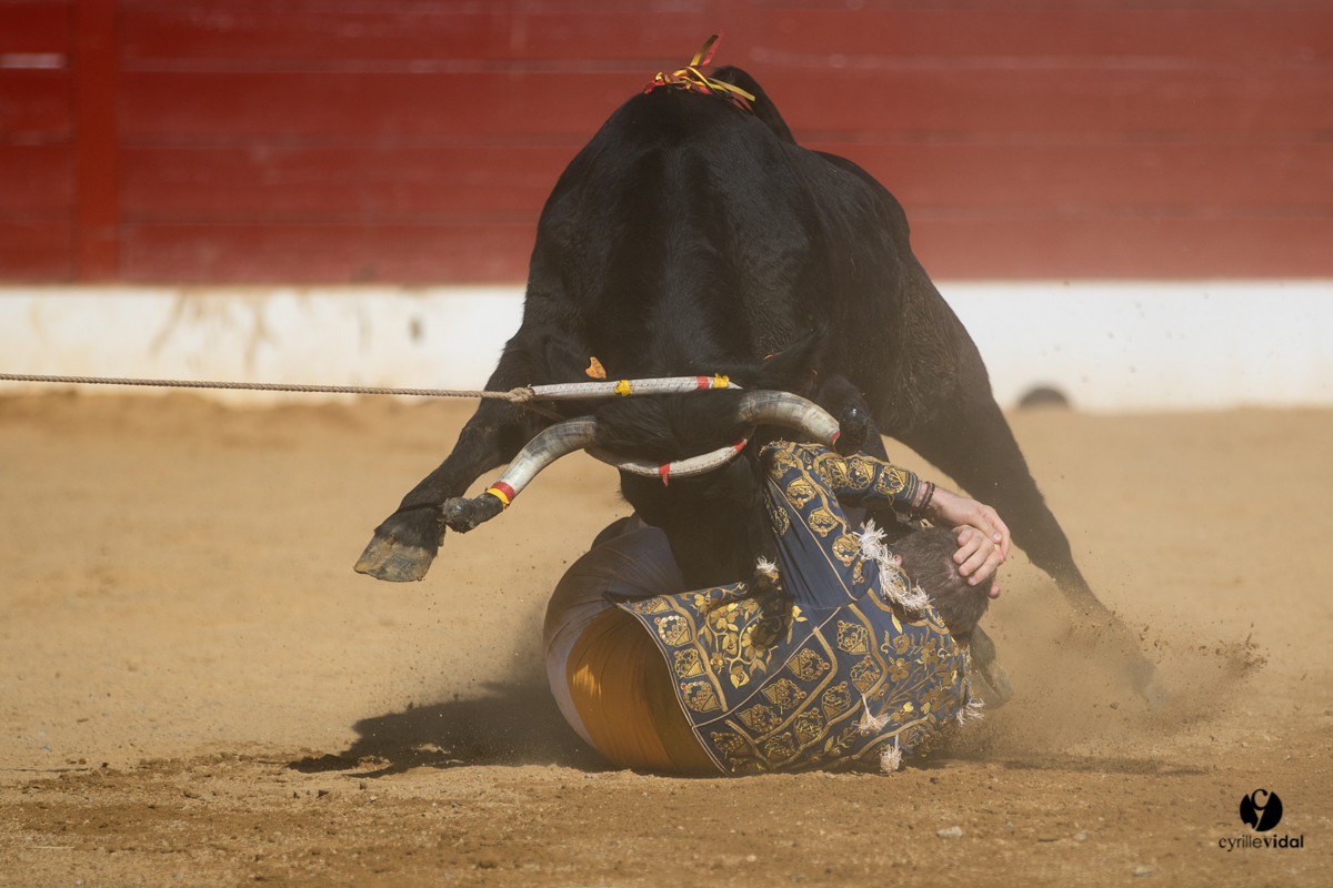 Mont-de-Marsan championnat de France de course landaise 2019