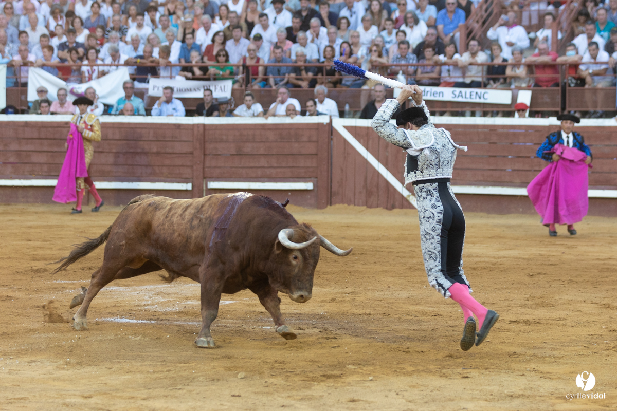 Corrida de Villeneuve-de-Marsan