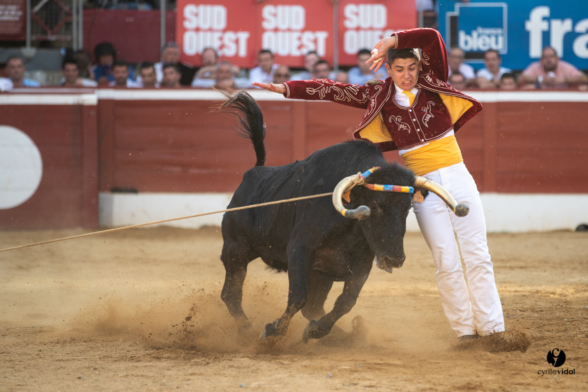 Mont-de-Marsan championnat de France de course landaise 2019