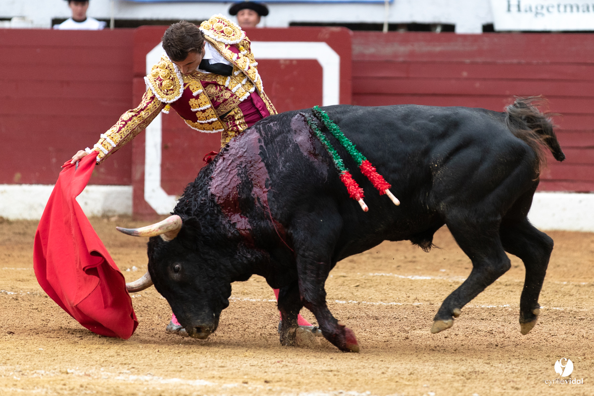 Corrida d'Aire sur l'Adour