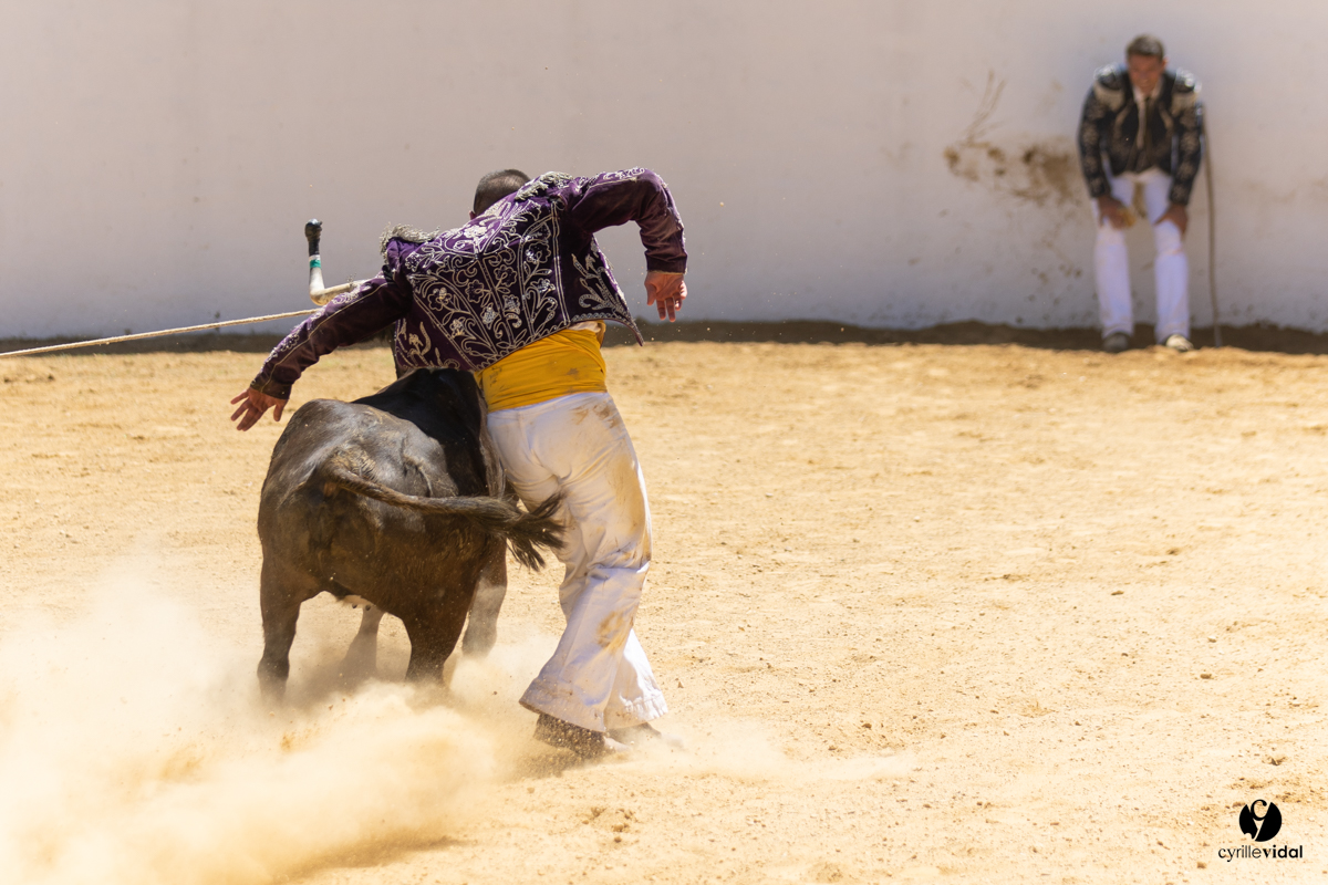 Saint-Cricq Chalosse course landaise de promotion Ganadéria Deyris Cuadrilla Jérémy Lafitte