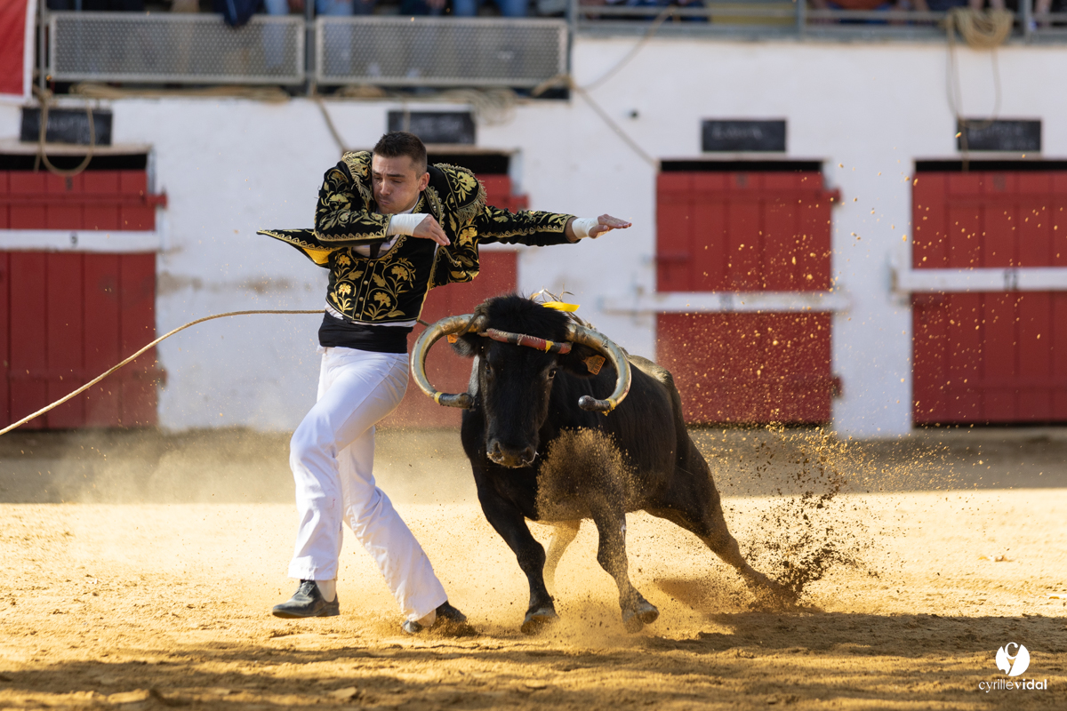 Nogaro Championnat de France de course landaise 2022
