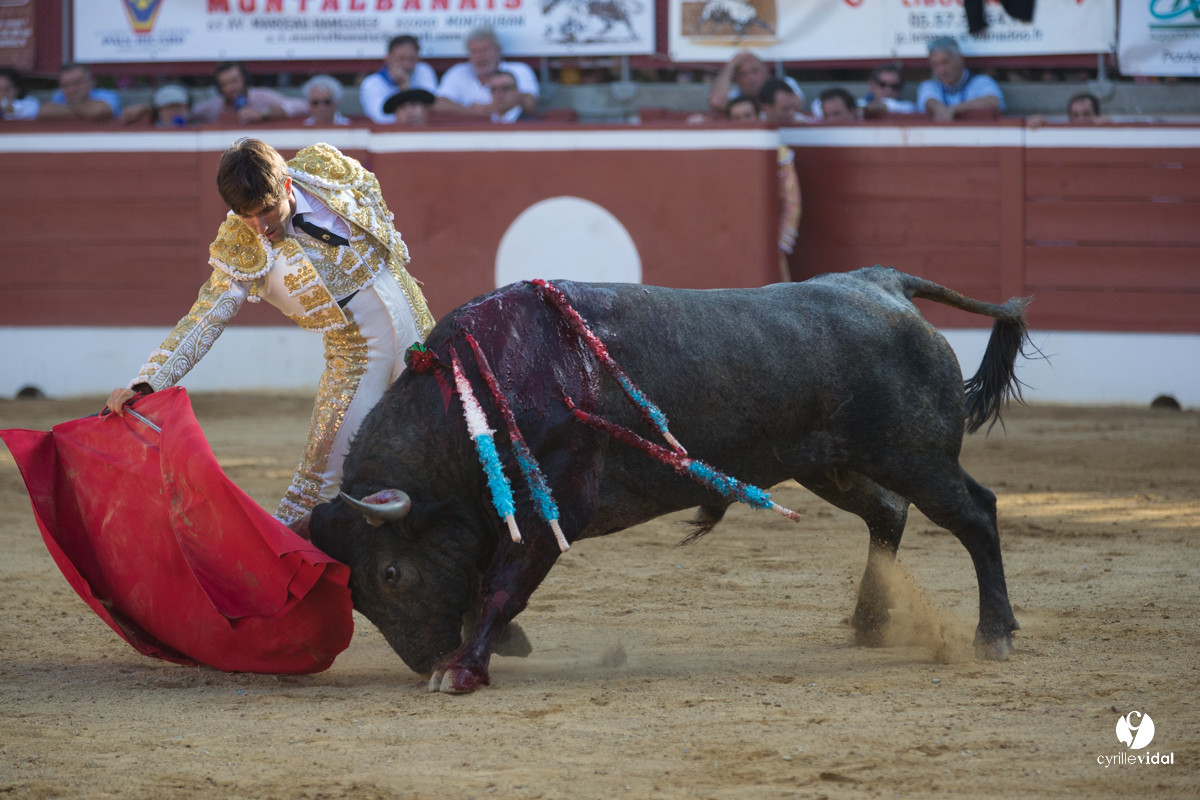 Mont-de-Marsan corrida d'Adolfo Martin