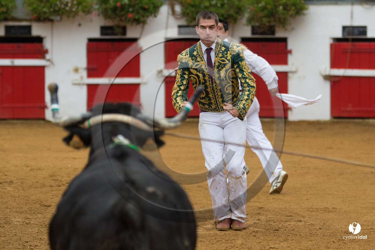 Nogaro Championnatde France de Course Landaise 2017