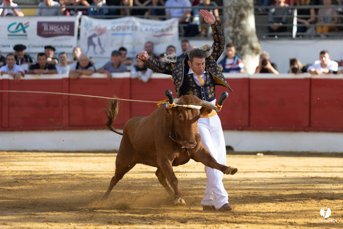 Nogaro Championnat de France de course landaise 2022