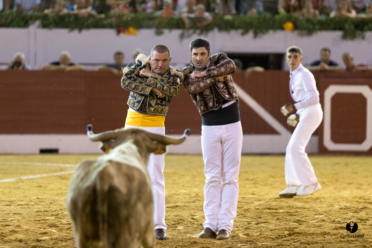 Aire sur l'Adour course landaise génération Aturine