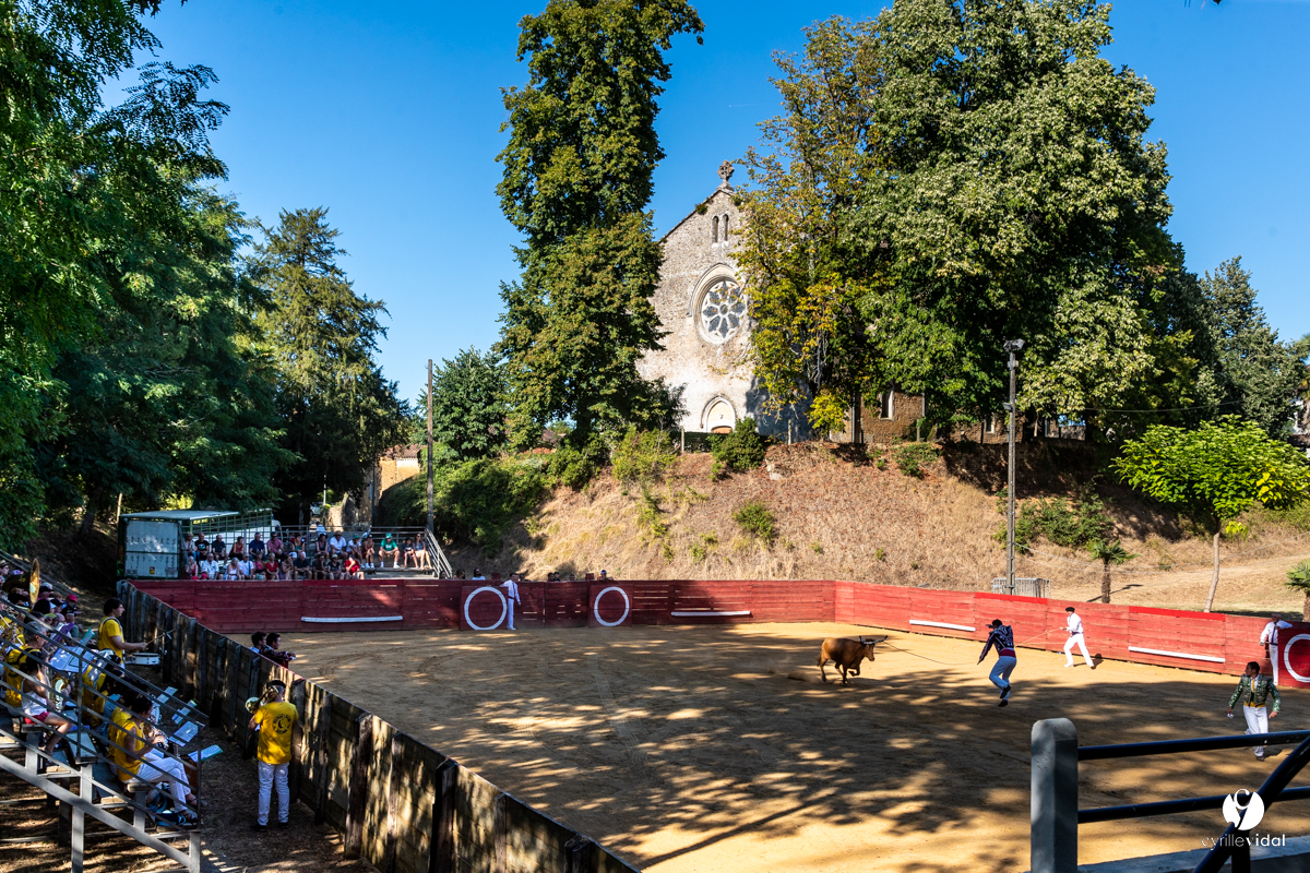 Course landaise à Panjas