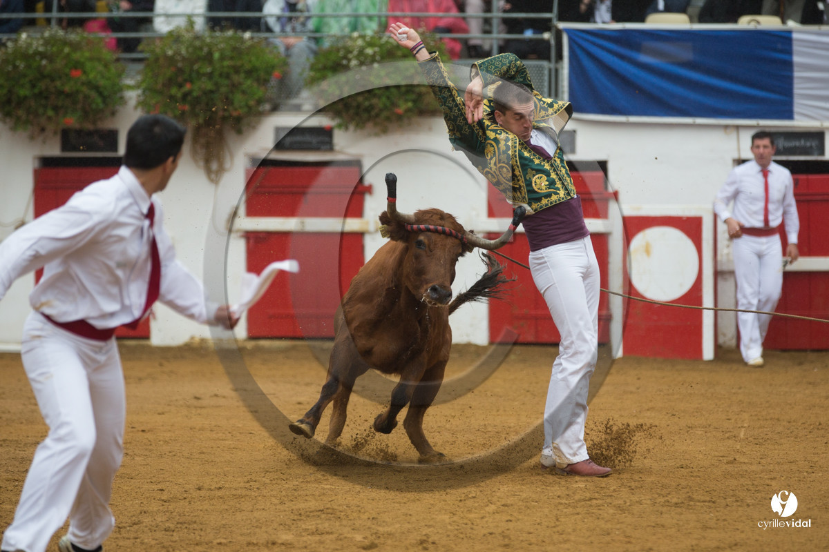 Nogaro Championnatde France de Course Landaise 2017