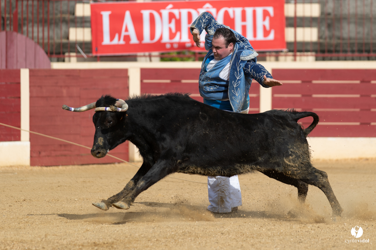 Course landaise Le Houga Ganadéria Dussau Cuadrilla Alexandre Brethes