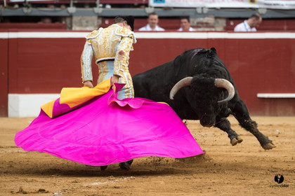 Mont-de-Marsan corrida de Garcigrande pour El Juli et Juan Bautista