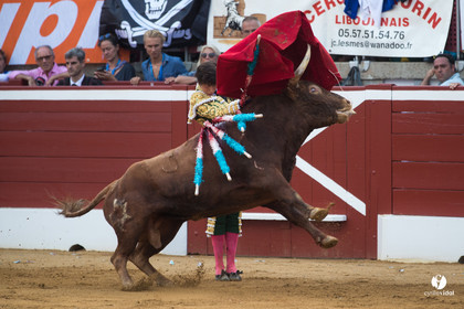 Mont-de-Marsan corrida de Jandilla pour Padilla - Talavante - Roca Rey