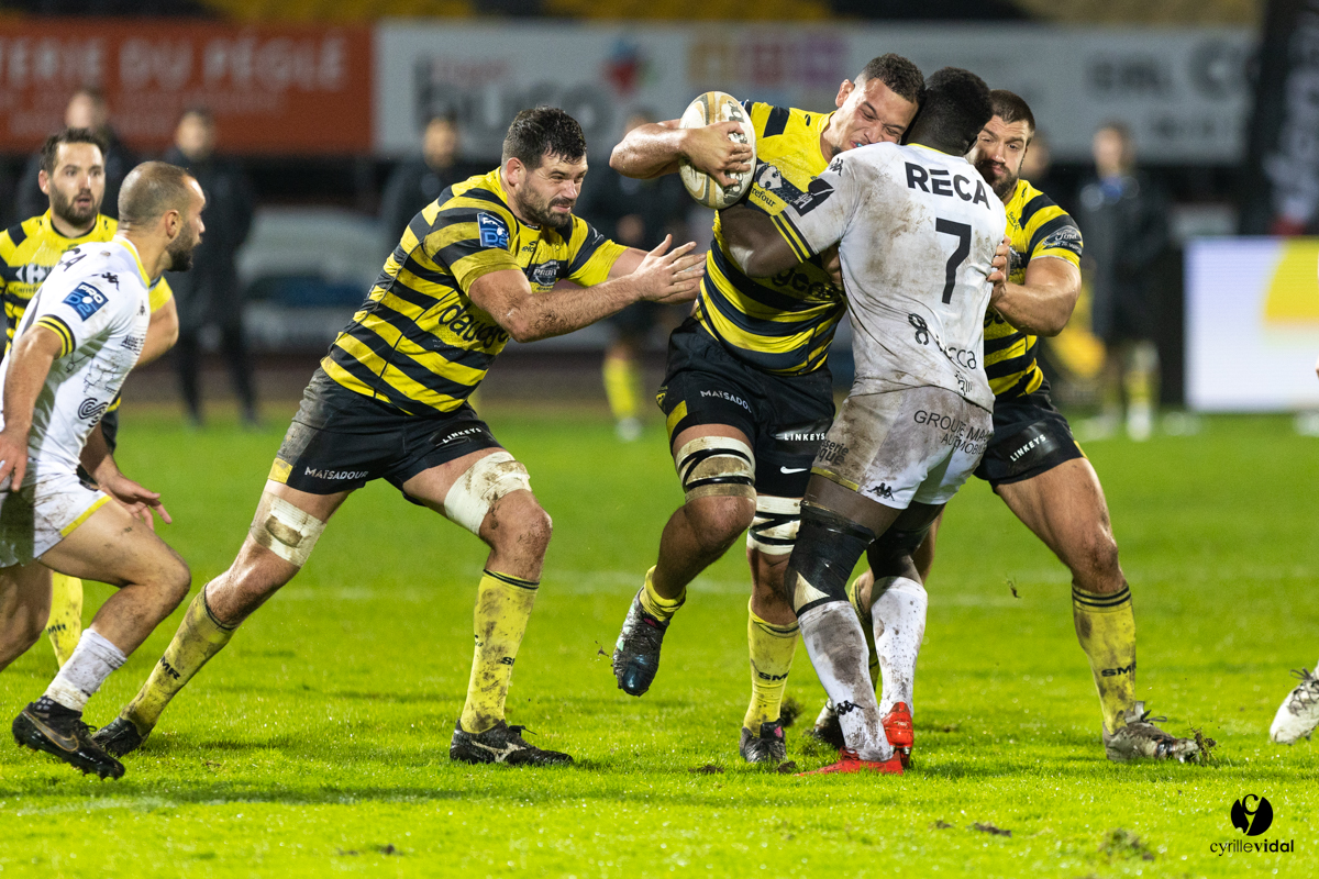 Stade Montois Rugby - Carcassonne