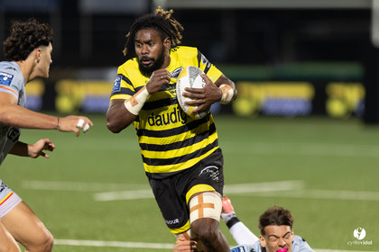 Stade Montois Rugby - Provence