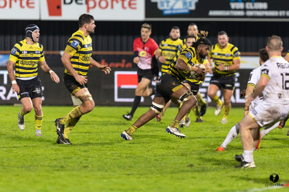 Stade Montois Rugby - Carcassonne