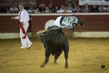 Mont-de-Marsan festival Art et Courage