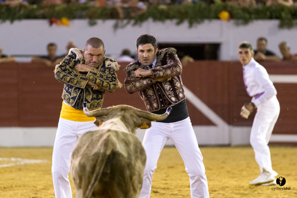 Aire sur l'Adour course landaise génération Aturine