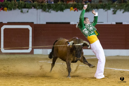 Aire sur l'Adour course landaise génération Aturine