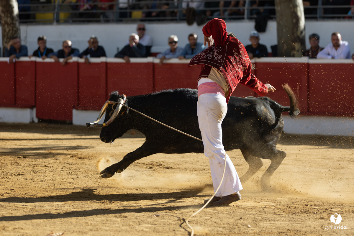 Nogaro Championnat de France de course landaise 2022