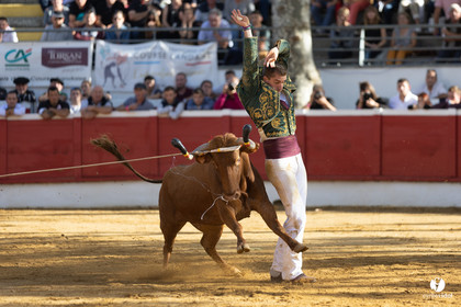 Nogaro Championnat de France de course landaise 2022