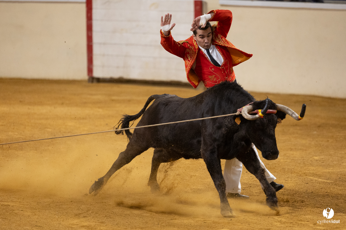 Horsarrieu course landaise du boléro d'Argent