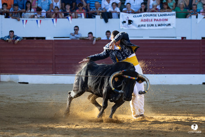 Aire-sur-l'Adour Championnat de France de course landaise 2023