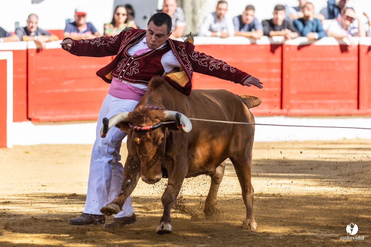 Nogaro Championnat de France de course landaise 2022
