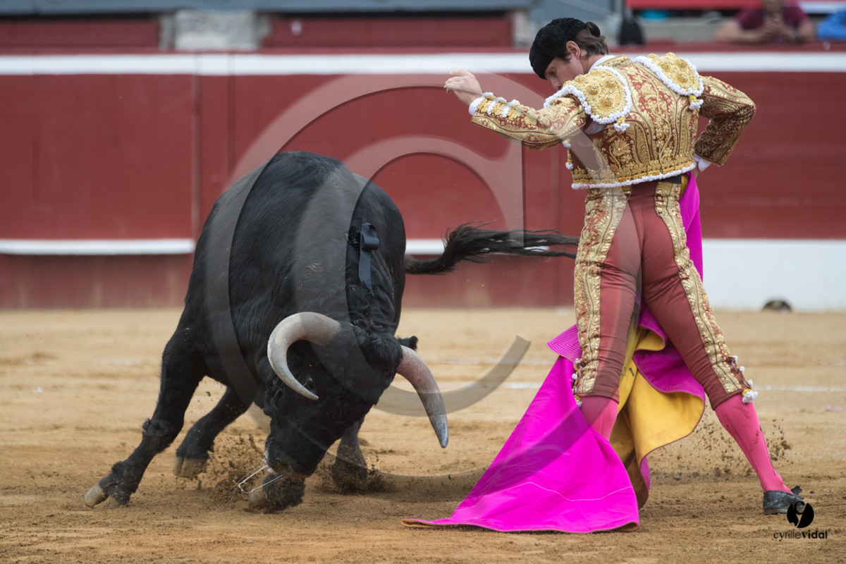 Mont-de-Marsan corrida de Garcigrande pour El Juli et Juan Bautista