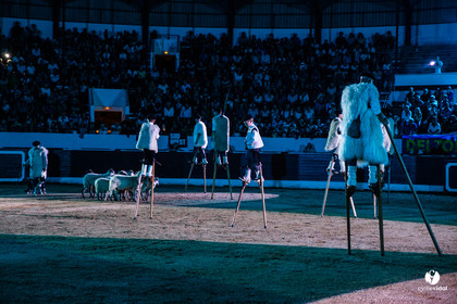 Landes émotions à Aire-sur-l'Adour