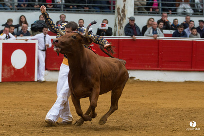 Nogaro Championnatde France de Course Landaise 2017
