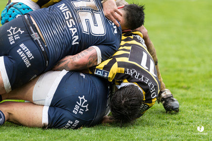 Stade Montois Rugby - Colomiers