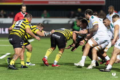 Stade Montois Rugby - Montauban