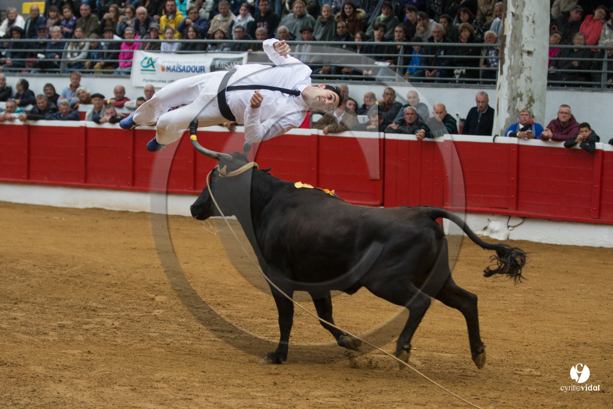 Nogaro Championnatde France de Course Landaise 2017