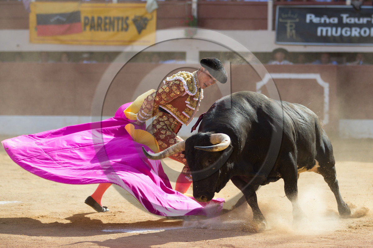 corrida, toro, vic fezensac, alcurrucen, michelito, morenito de aranda