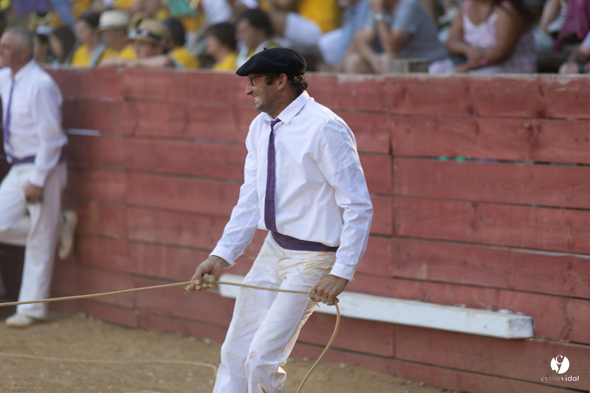 Course landaise à Panjas