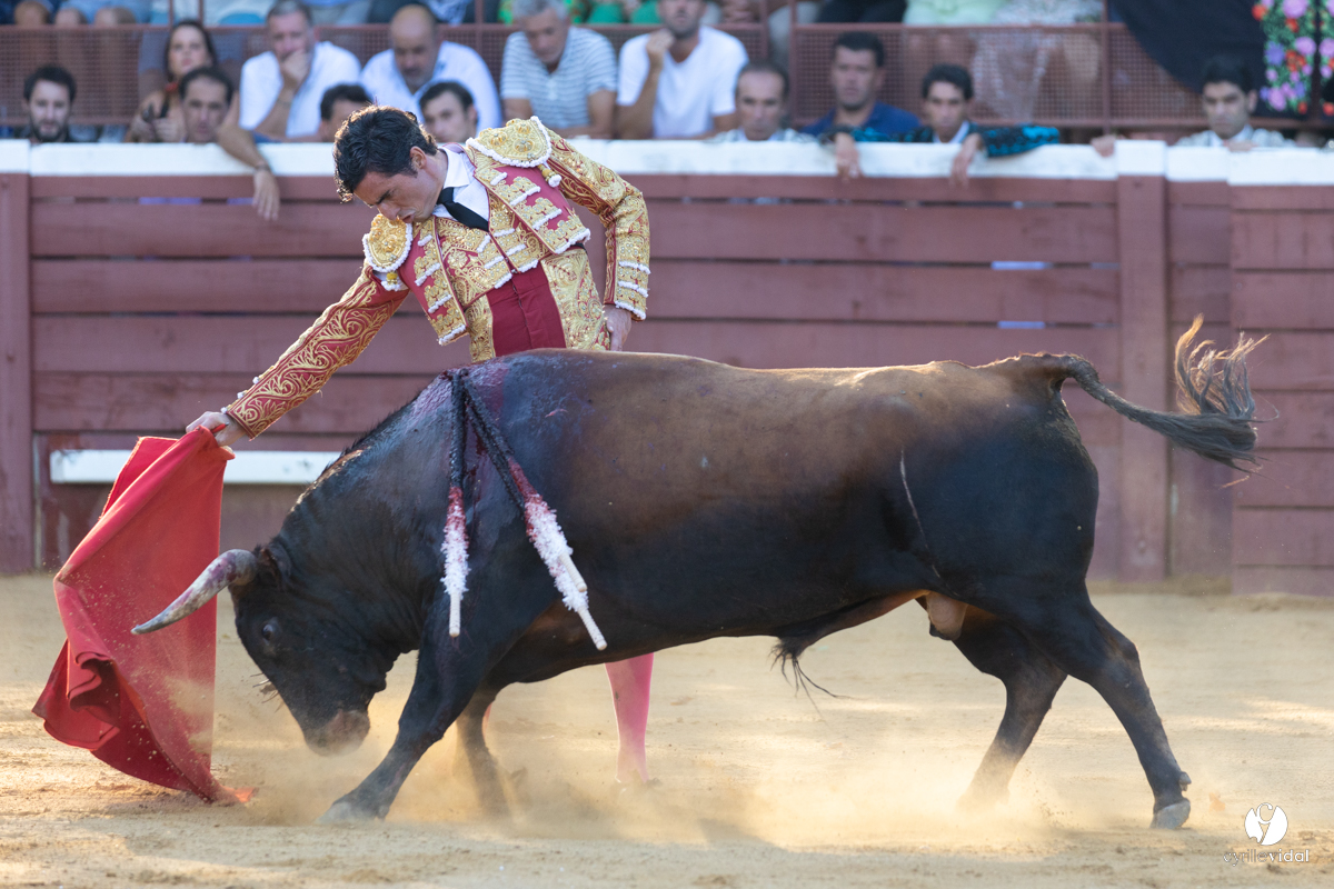 Corrida de Villeneuve-de-Marsan