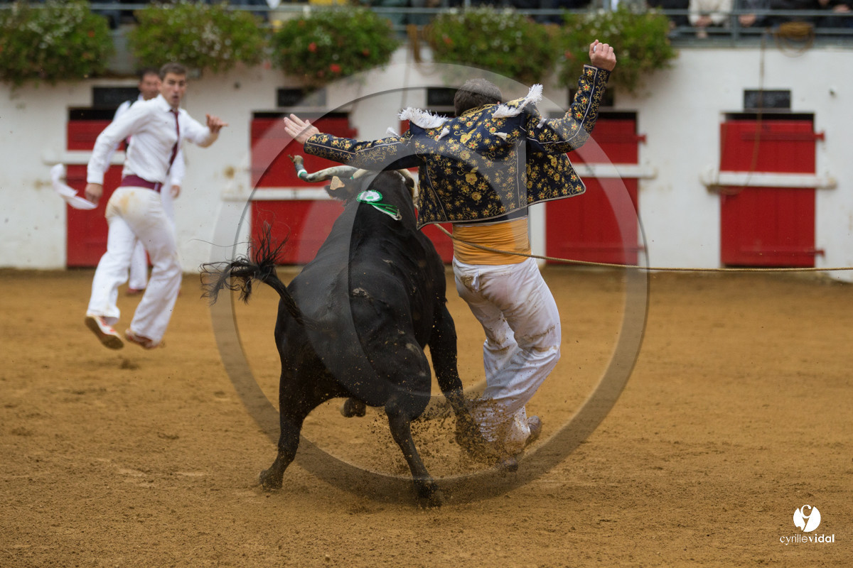 Nogaro Championnatde France de Course Landaise 2017