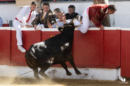 Nogaro Championnat de France de course landaise 2022
