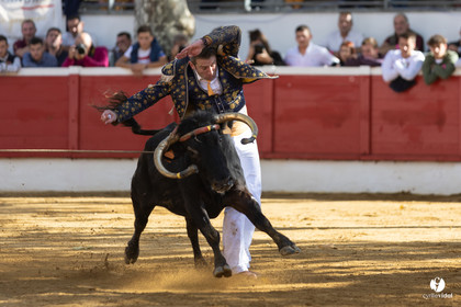Nogaro Championnat de France de course landaise 2022