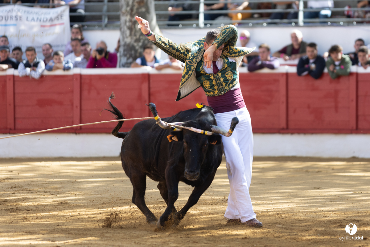 Nogaro Championnat de France de course landaise 2022