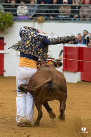 Nogaro Championnatde France de Course Landaise 2017