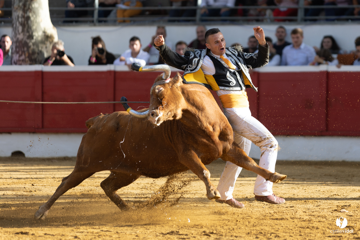 Nogaro Championnat de France de course landaise 2022