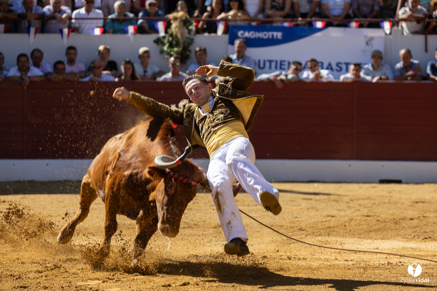 Aire-sur-l'Adour Championnat de France de course landaise 2023