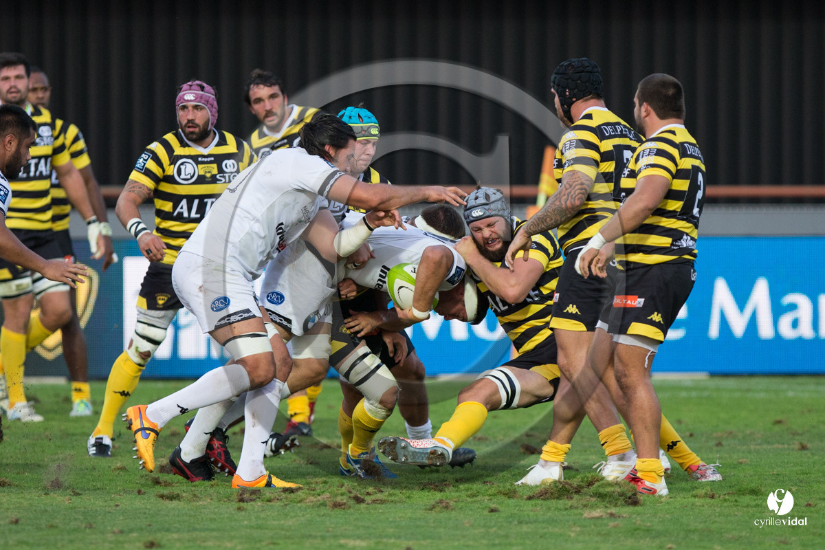 Rugby STADE MONTOIS - VANNES