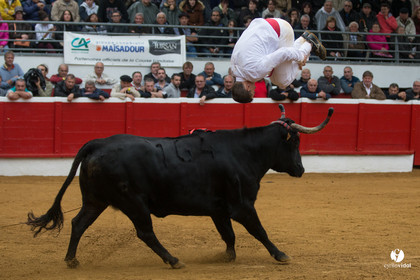 Nogaro Championnatde France de Course Landaise 2017