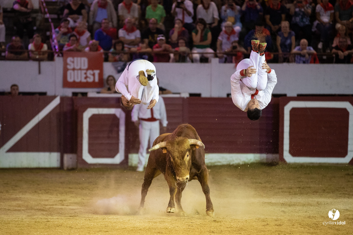 Landes émotions à Aire-sur-l'Adour