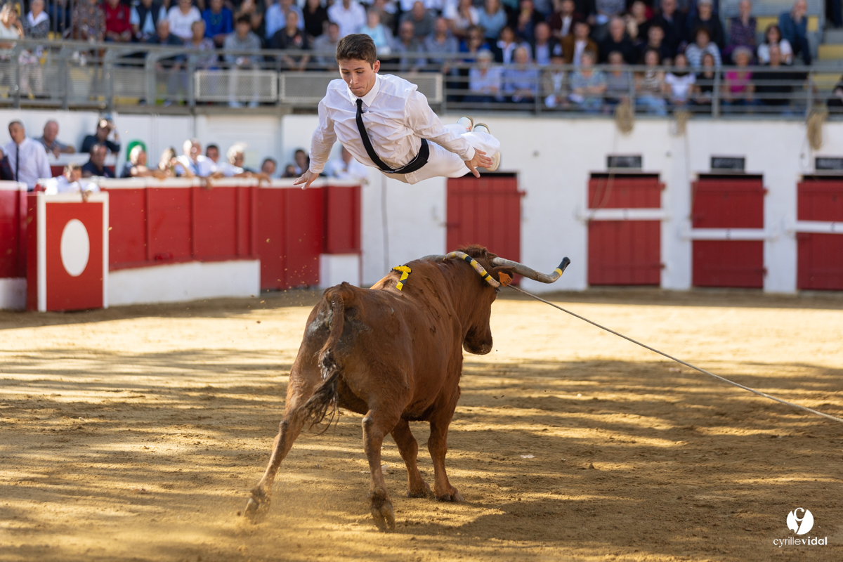 Nogaro Championnat de France de course landaise 2022