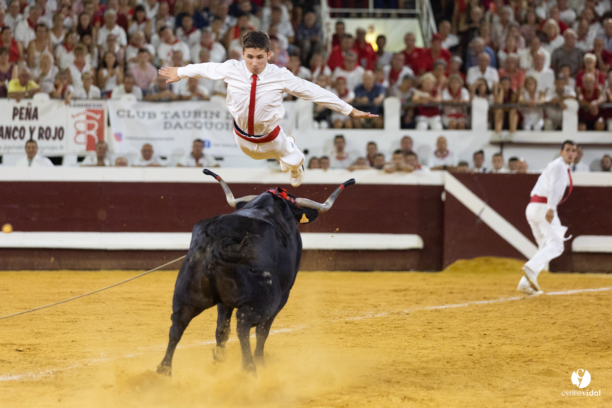Dax concours landais 2022